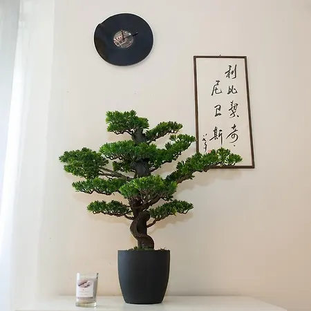 Relax Apartment *